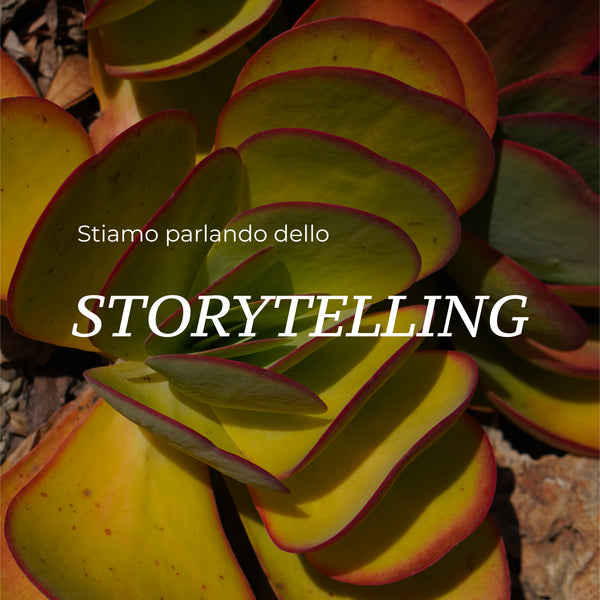 Tra ispirazione e stimolo, il nostro caso di Storytelling